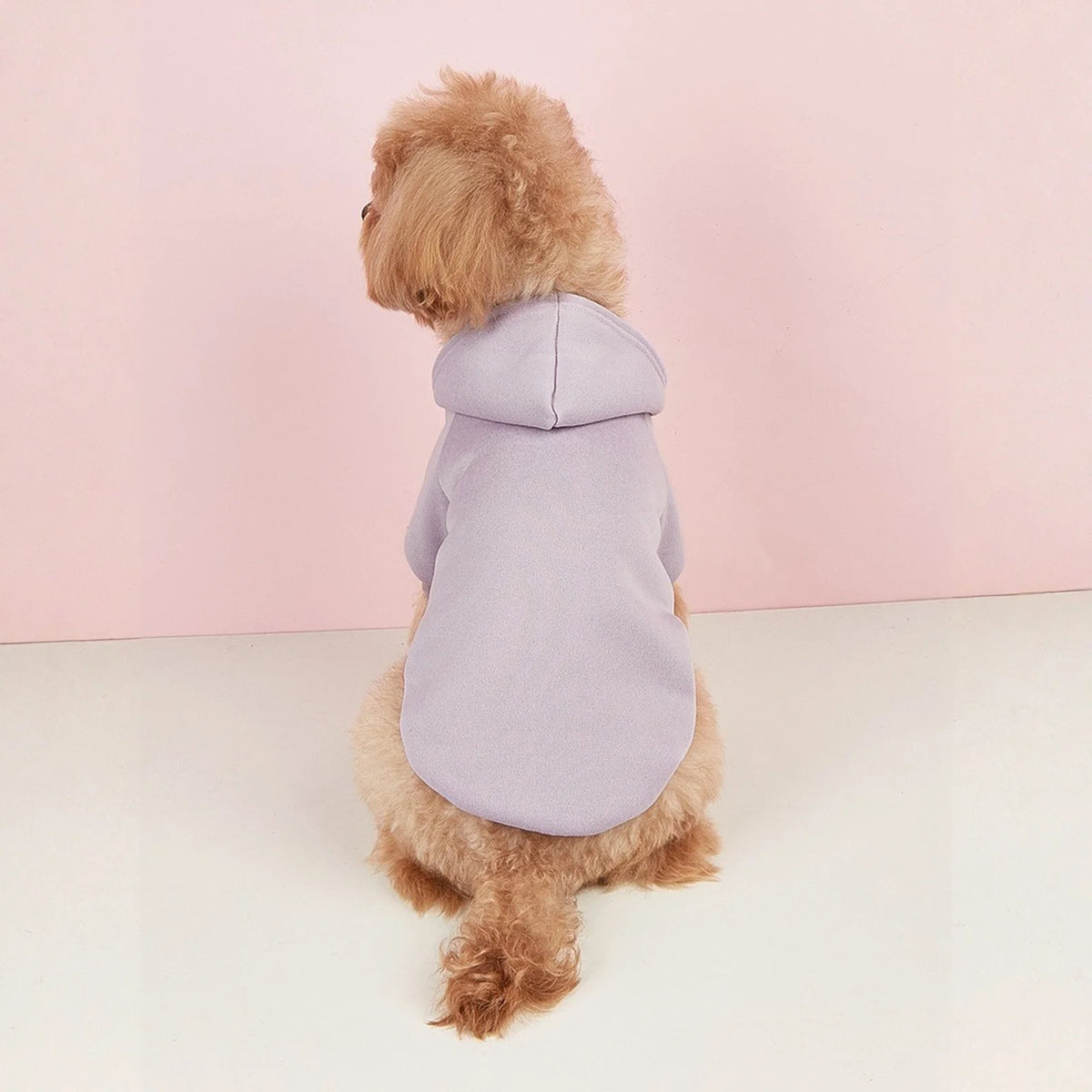 Dog Hoodies for Small and Medium Dogs - Warm Pet Sweatshirt for Autumn & Winter
