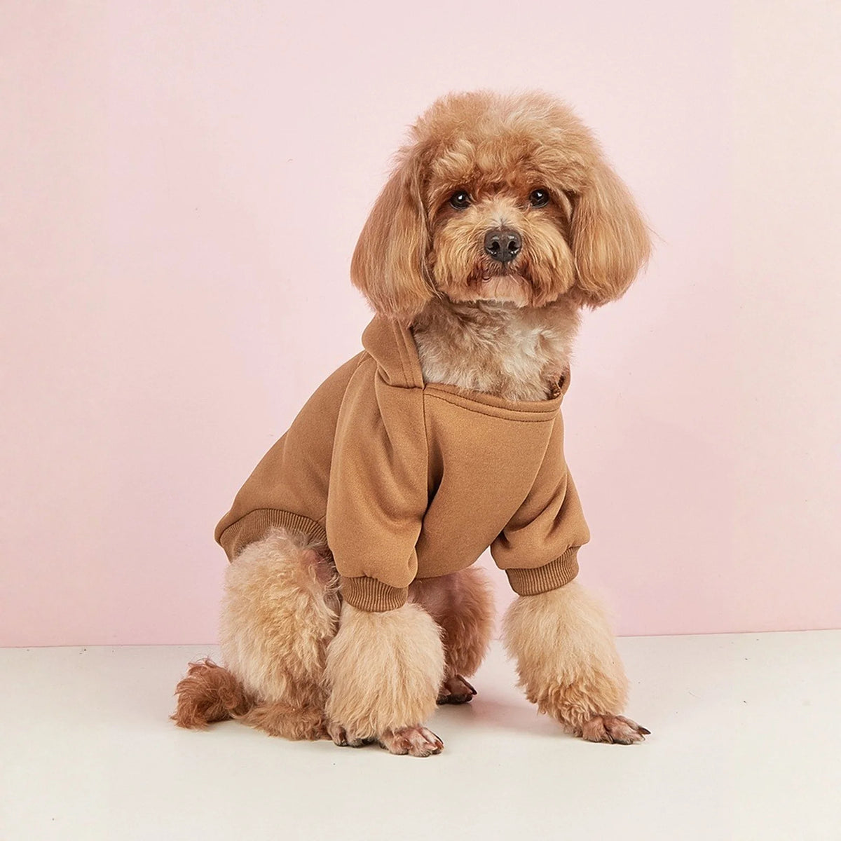Dog Hoodies for Small and Medium Dogs - Warm Pet Sweatshirt for Autumn & Winter