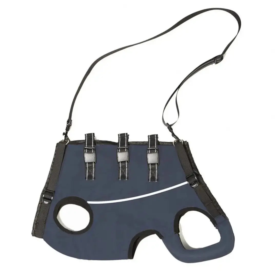 Dog Lift Harness for Elderly Dogs - Full-Body Mobility Support Vest for Stairs & Car Rides