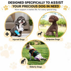 Dog Lift Harness for Elderly Dogs - Full-Body Mobility Support Vest for Stairs & Car Rides