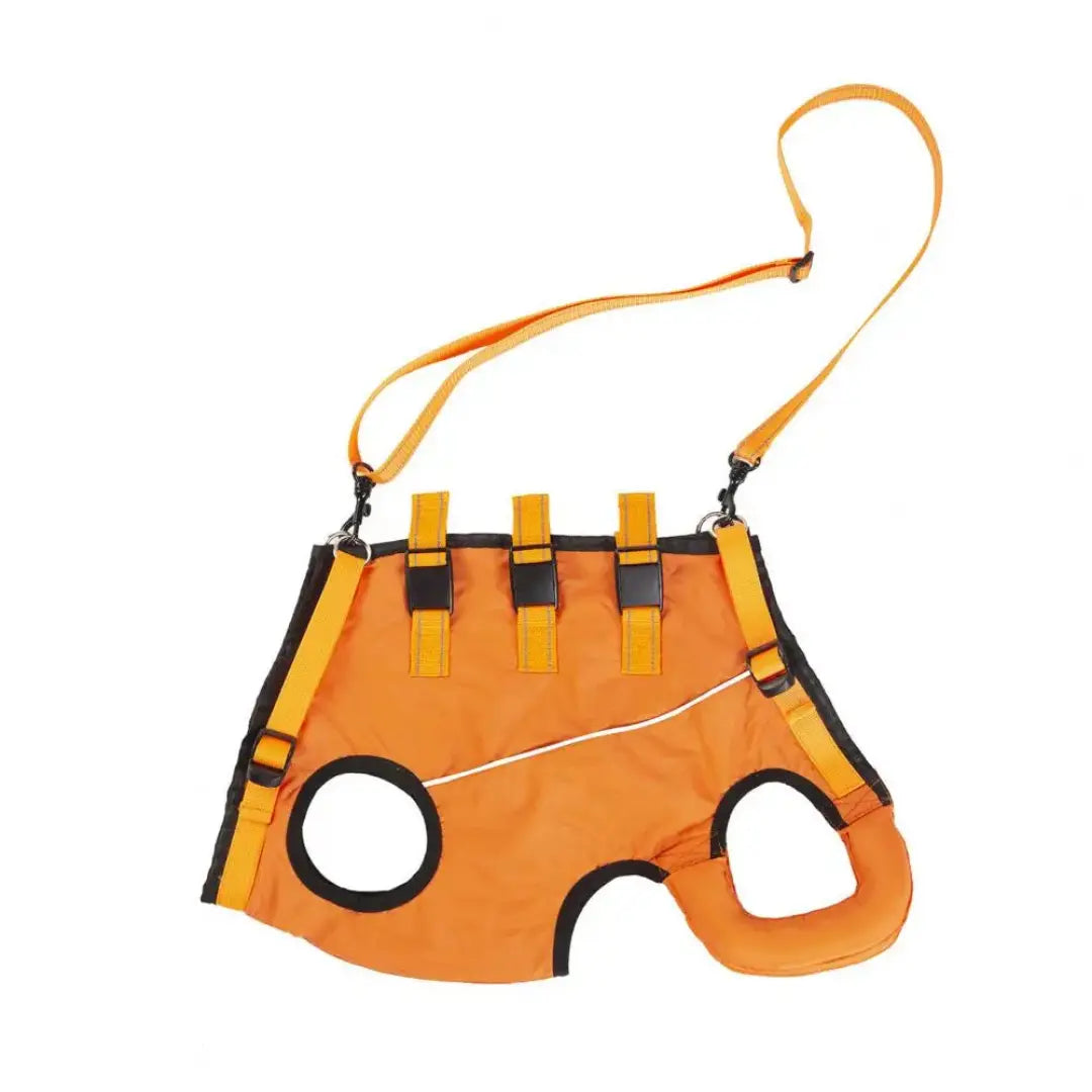 Dog Lift Harness for Elderly Dogs - Full-Body Mobility Support Vest for Stairs & Car Rides