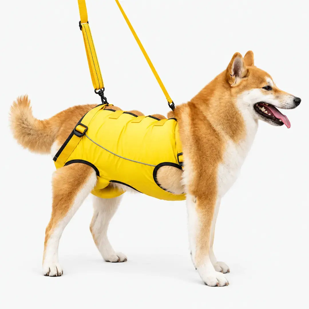 Dog Lift Harness for Elderly Dogs - Full-Body Mobility Support Vest for Stairs & Car Rides