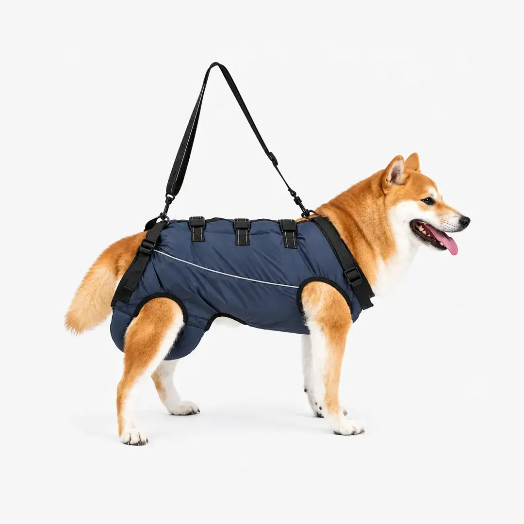 Dog Lift Harness for Elderly Dogs - Full-Body Mobility Support Vest for Stairs & Car Rides