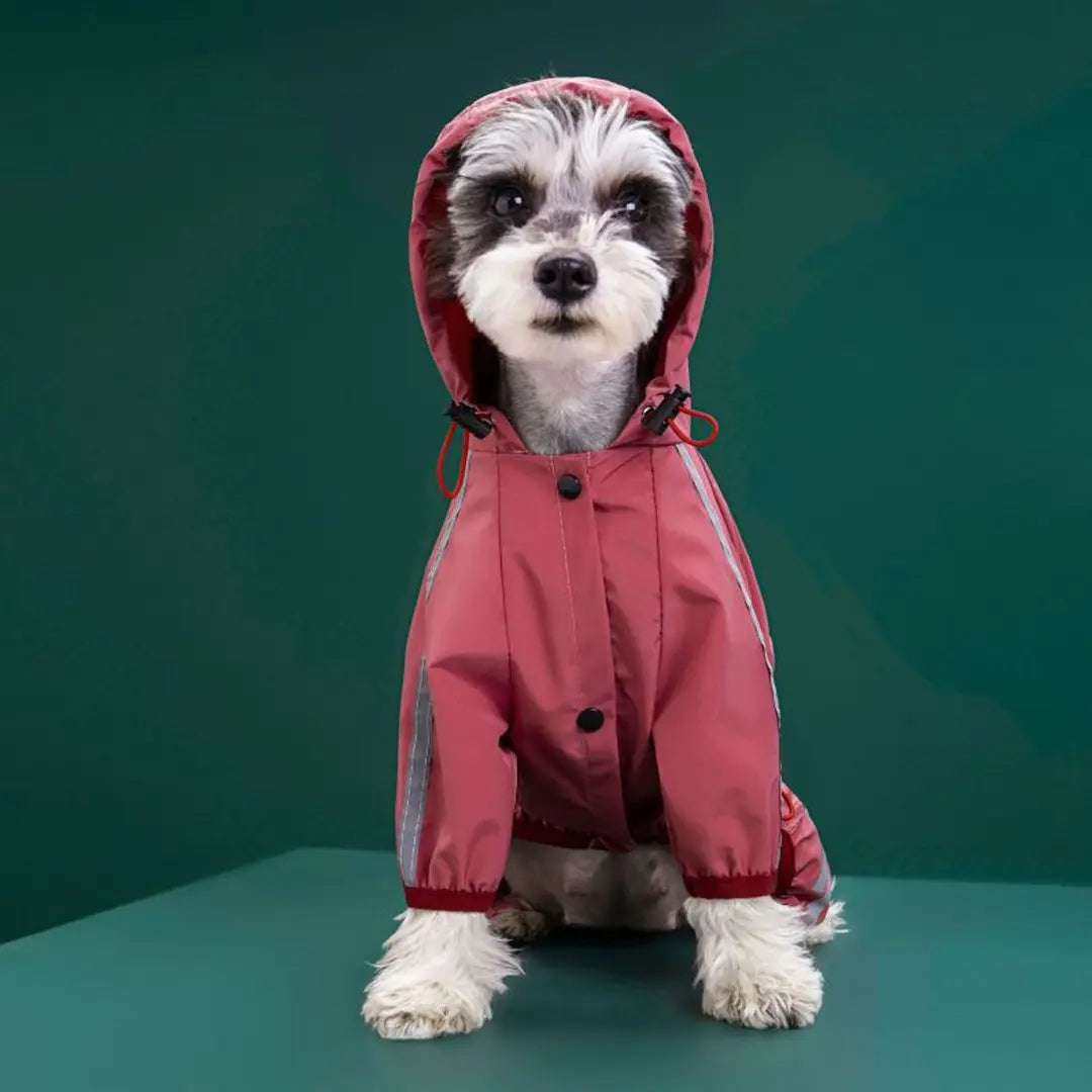 Dog Raincoat for Chihuahua & French Bulldog, Waterproof Overalls