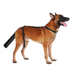 Dog Tail Protector for Medium & Large Dogs, Breathable Adjustable Tail Guard Sleeve