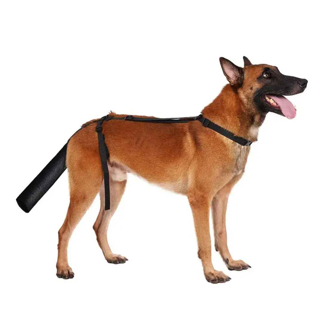 Dog Tail Protector for Medium & Large Dogs, Breathable Adjustable Tail Guard Sleeve