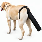 Dog Tail Protector for Medium & Large Dogs, Breathable Adjustable Tail Guard Sleeve