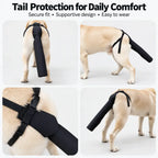 Dog Tail Protector for Medium & Large Dogs, Breathable Adjustable Tail Guard Sleeve