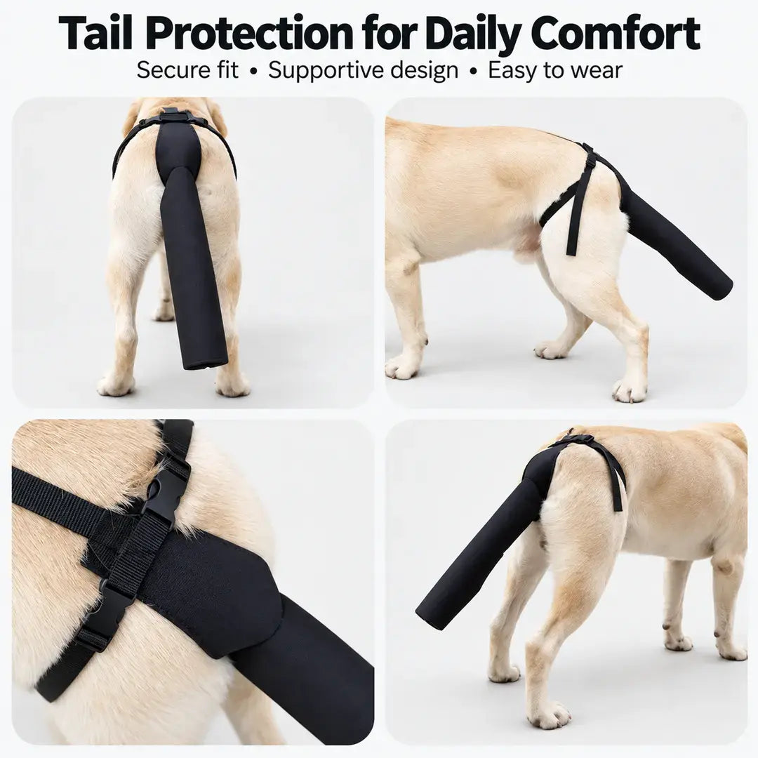 Dog Tail Protector for Medium & Large Dogs, Breathable Adjustable Tail Guard Sleeve