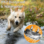 Dog Training Near Me Remote Dog Training Collar, 1000m Waterproof Rechargeable Training System
