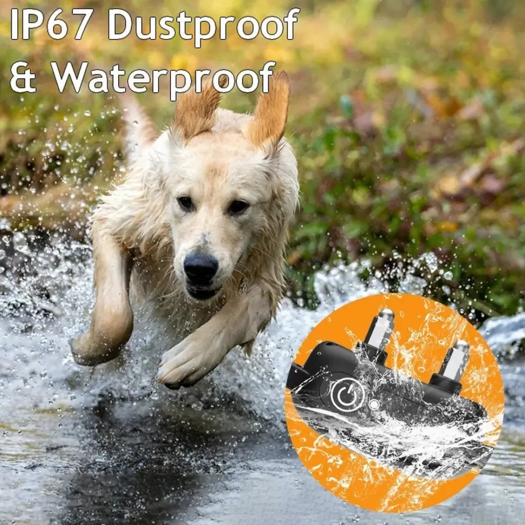 Dog Training Near Me Remote Dog Training Collar, 1000m Waterproof Rechargeable Training System