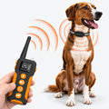 Dog Training Near Me Remote Dog Training Collar, 1000m Waterproof Rechargeable Training System