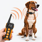 Dog Training Near Me Remote Dog Training Collar, 1000m Waterproof Rechargeable Training System