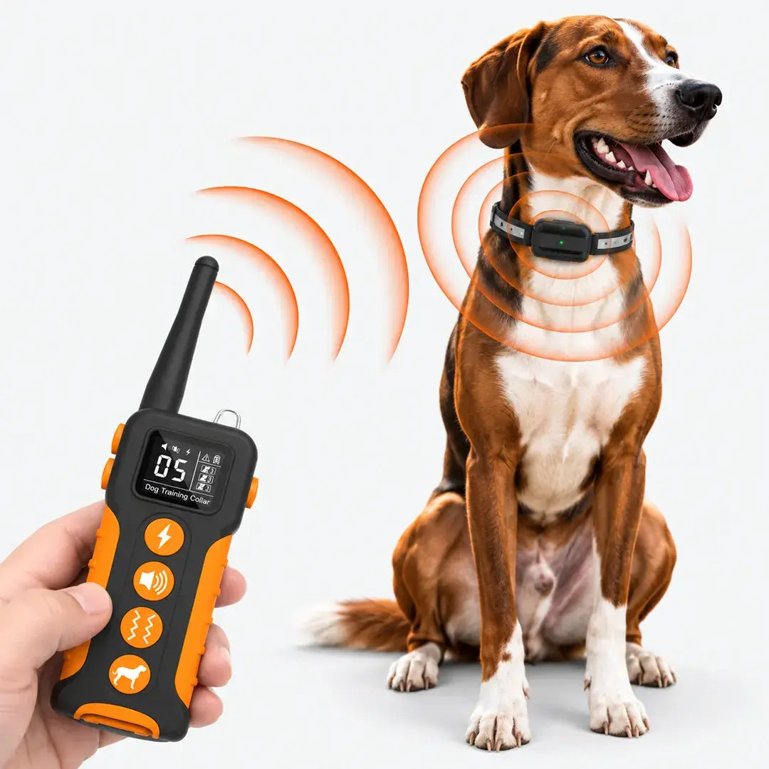 Dog Training Near Me Remote Dog Training Collar, 1000m Waterproof Rechargeable Training System