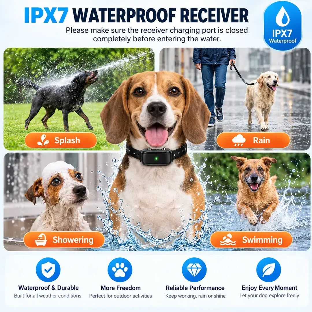 Dog Training Near Me Remote Dog Training Collar, 1000m Waterproof Rechargeable Training System
