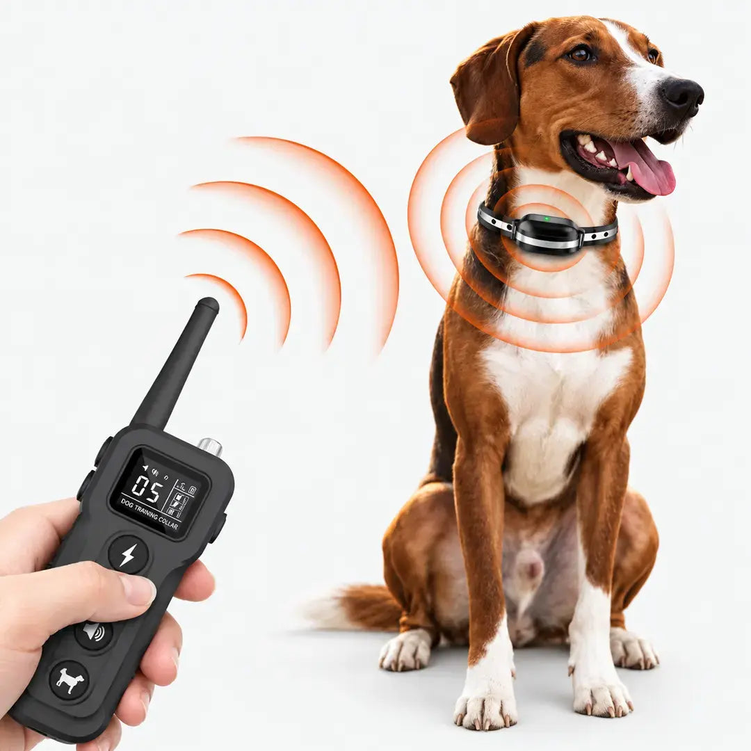 Dog Training Near Me Remote Dog Training Collar, 1000m Waterproof Rechargeable Training System
