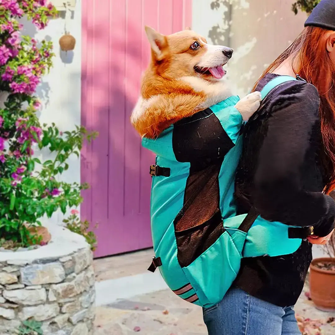 Dog Travel Backpack for Medium Dogs, Waterproof Carrier for Corgi & Shiba Inu