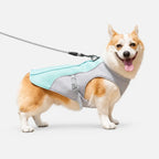 Dog Cooling Vest for Small to Large Dogs, Breathable Mesh Harness