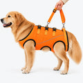 Dog Lift Harness for Elderly Dogs - Full-Body Mobility Support Vest for Stairs & Car Rides