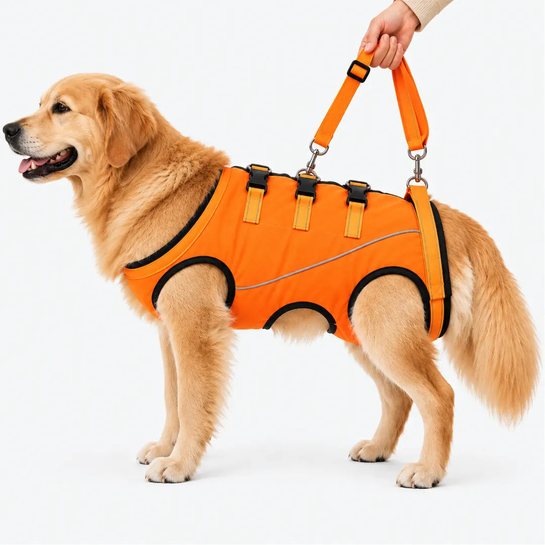 Dog Lift Harness for Elderly Dogs - Full-Body Mobility Support Vest for Stairs & Car Rides