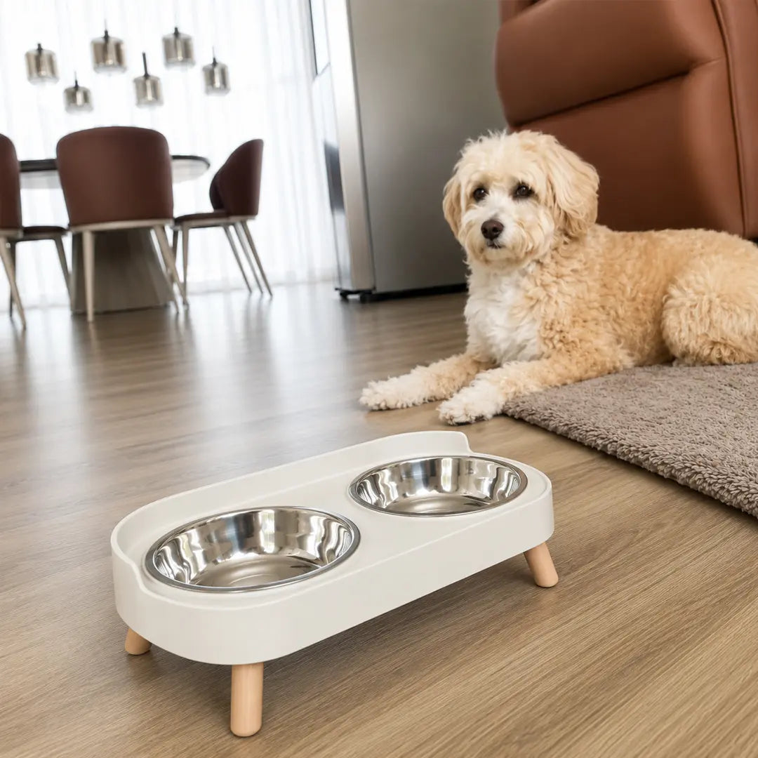 Double Pet Feeder, Stainless Steel Food and Water Bowls with Splash Guard