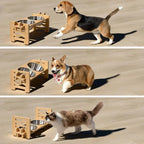 Elevated Dog Bowls for Small Dogs & Cats, Adjustable Wooden Stand