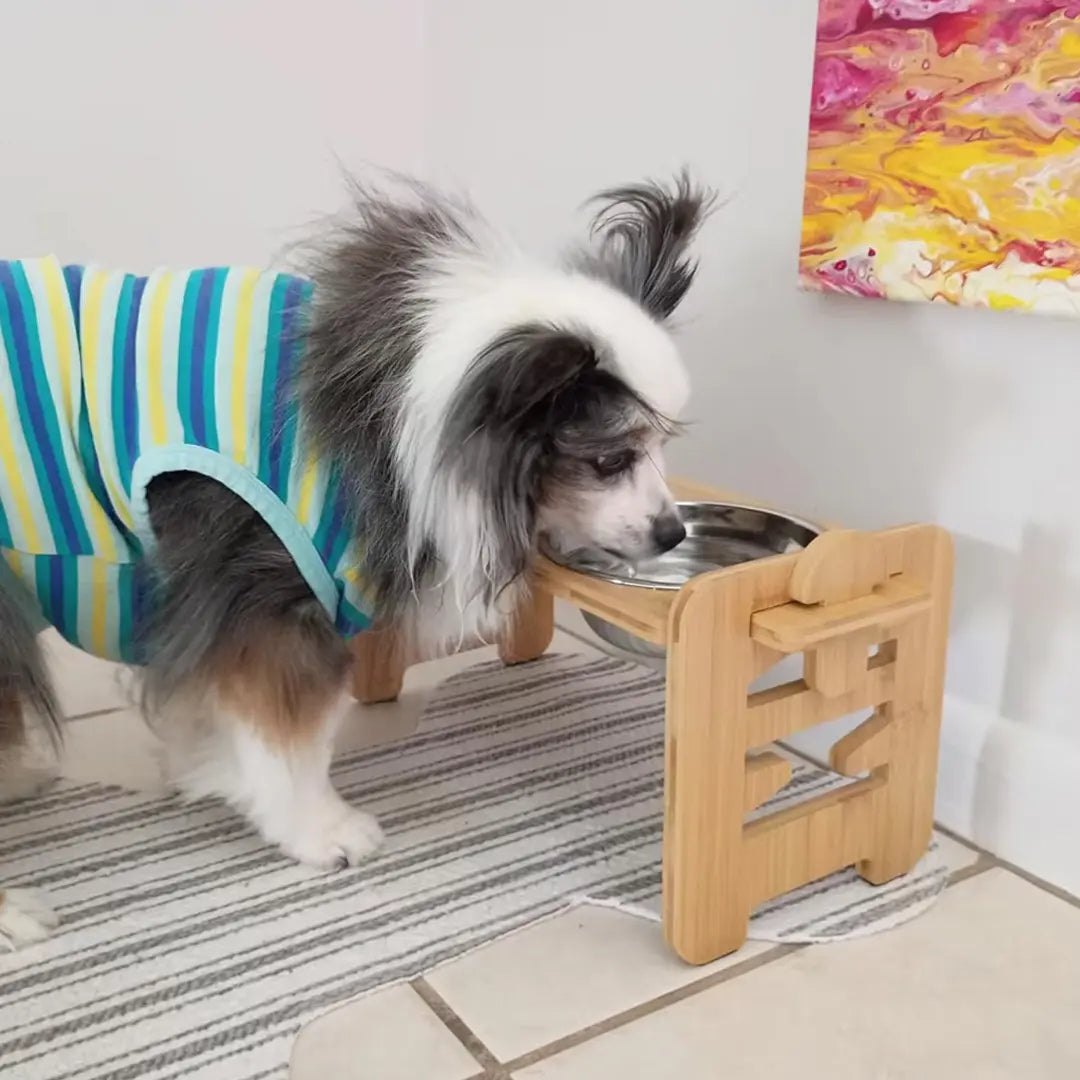 Elevated Dog Bowls for Small Dogs & Cats, Adjustable Wooden Stand
