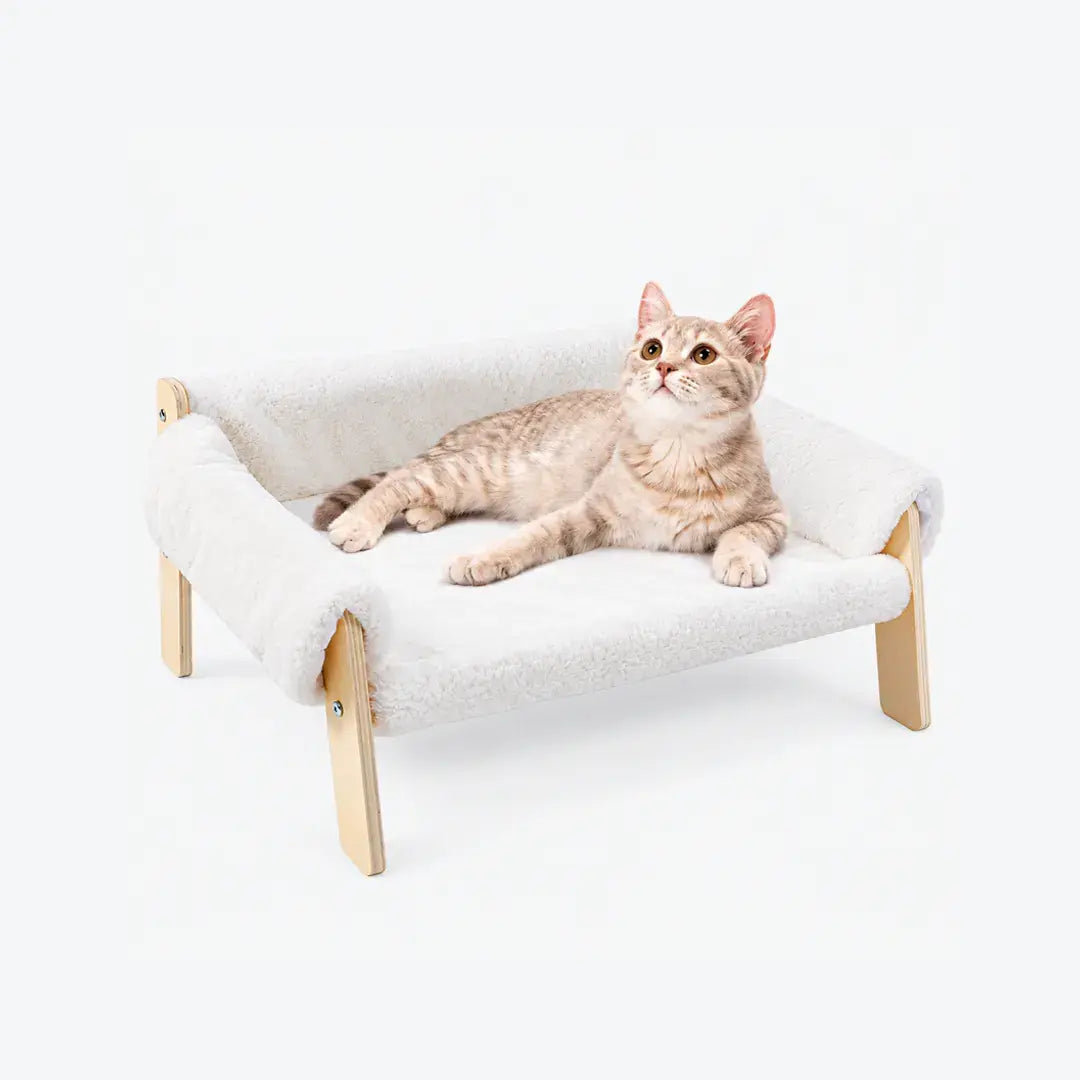Elevated Wooden Cat Bed Sofa with Soft Plush Cushion for Indoor Cats