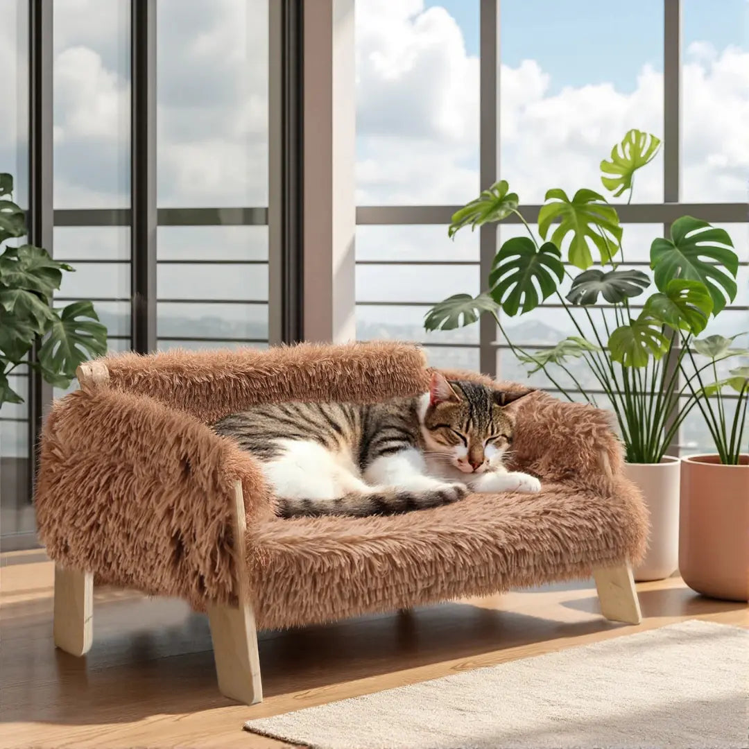 Elevated Wooden Cat Bed Sofa with Soft Plush Cushion for Indoor Cats