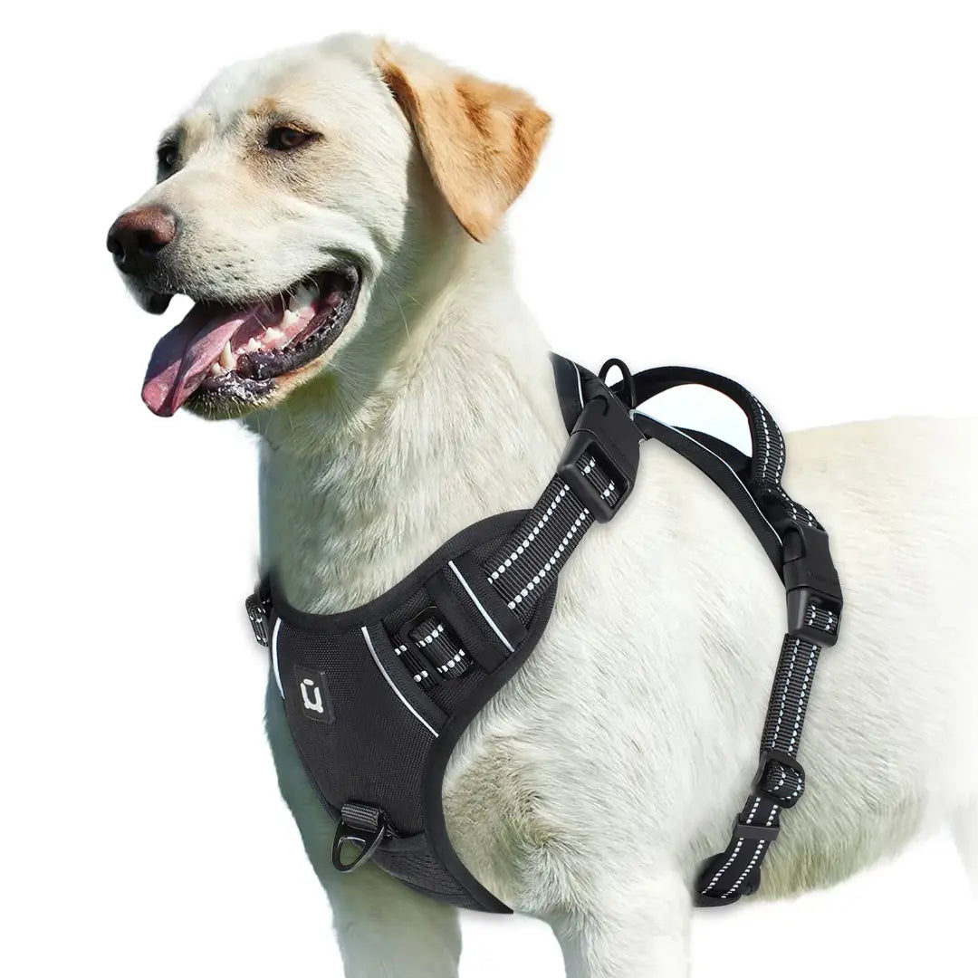 Everyday Walking No Pull Dog Harness with Dual Leash Clips & Padded Control Handle
