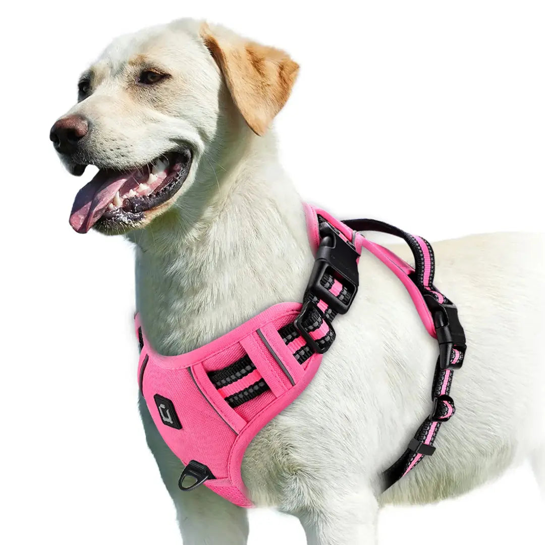 Everyday Walking No Pull Dog Harness with Dual Leash Clips & Padded Control Handle