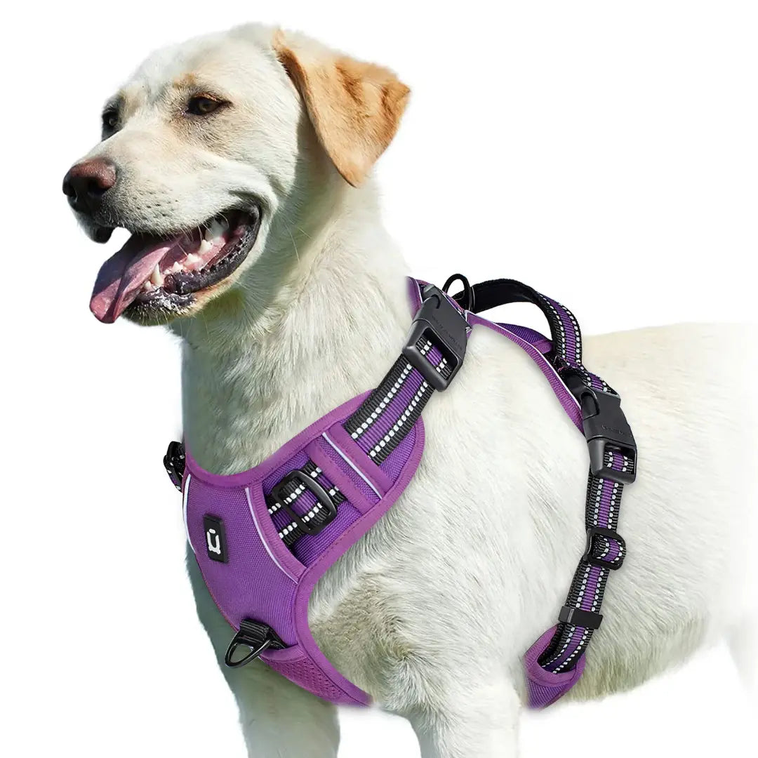 Everyday Walking No Pull Dog Harness with Dual Leash Clips & Padded Control Handle