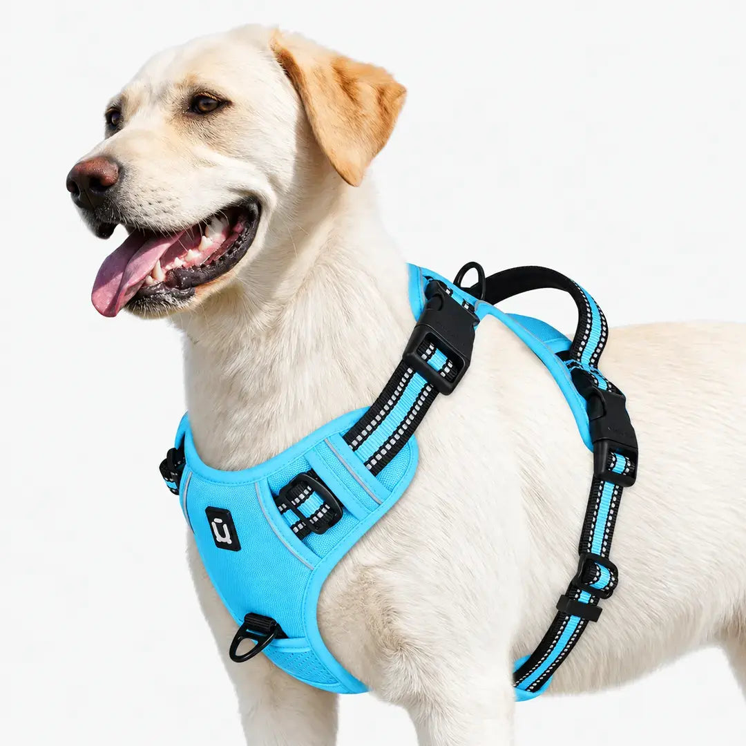 Everyday Walking No Pull Dog Harness with Dual Leash Clips & Padded Control Handle