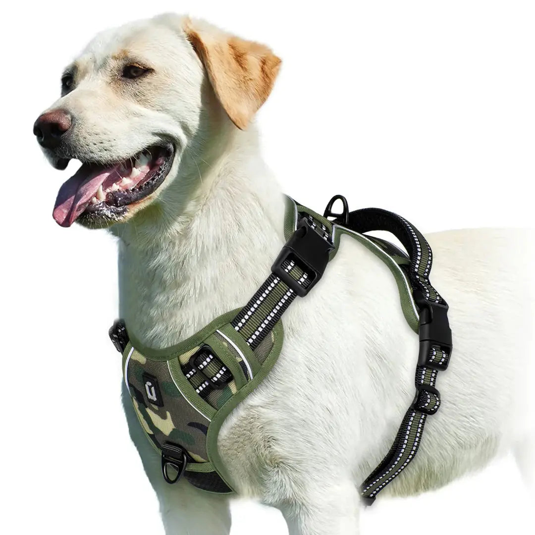 Everyday Walking No Pull Dog Harness with Dual Leash Clips & Padded Control Handle