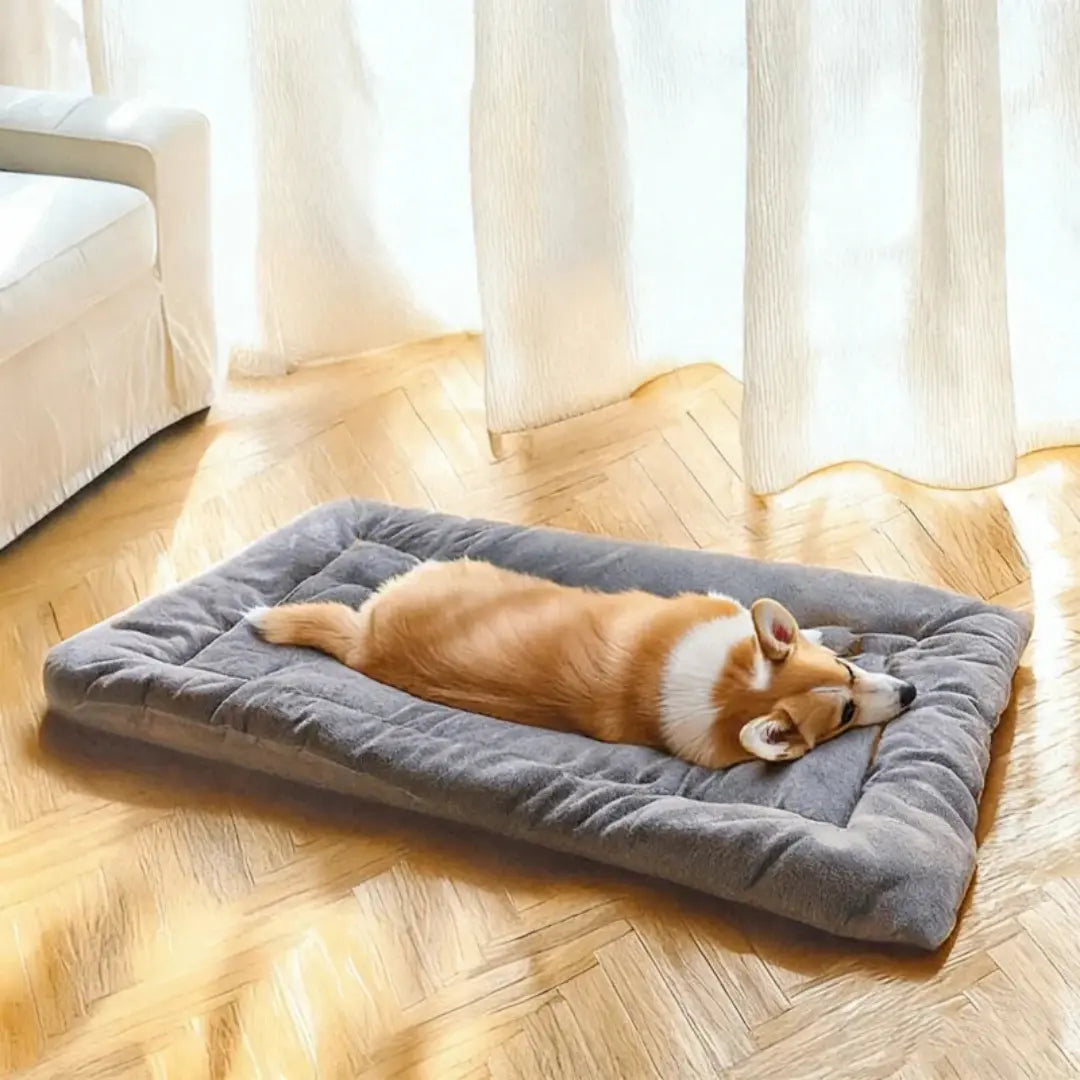 Extra Large Plush Dog Bed Sofa with Thick Padded Sides, 120 × 60 cm