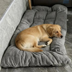 Extra Large Plush Dog Bed Sofa with Thick Padded Sides, 120 × 60 cm