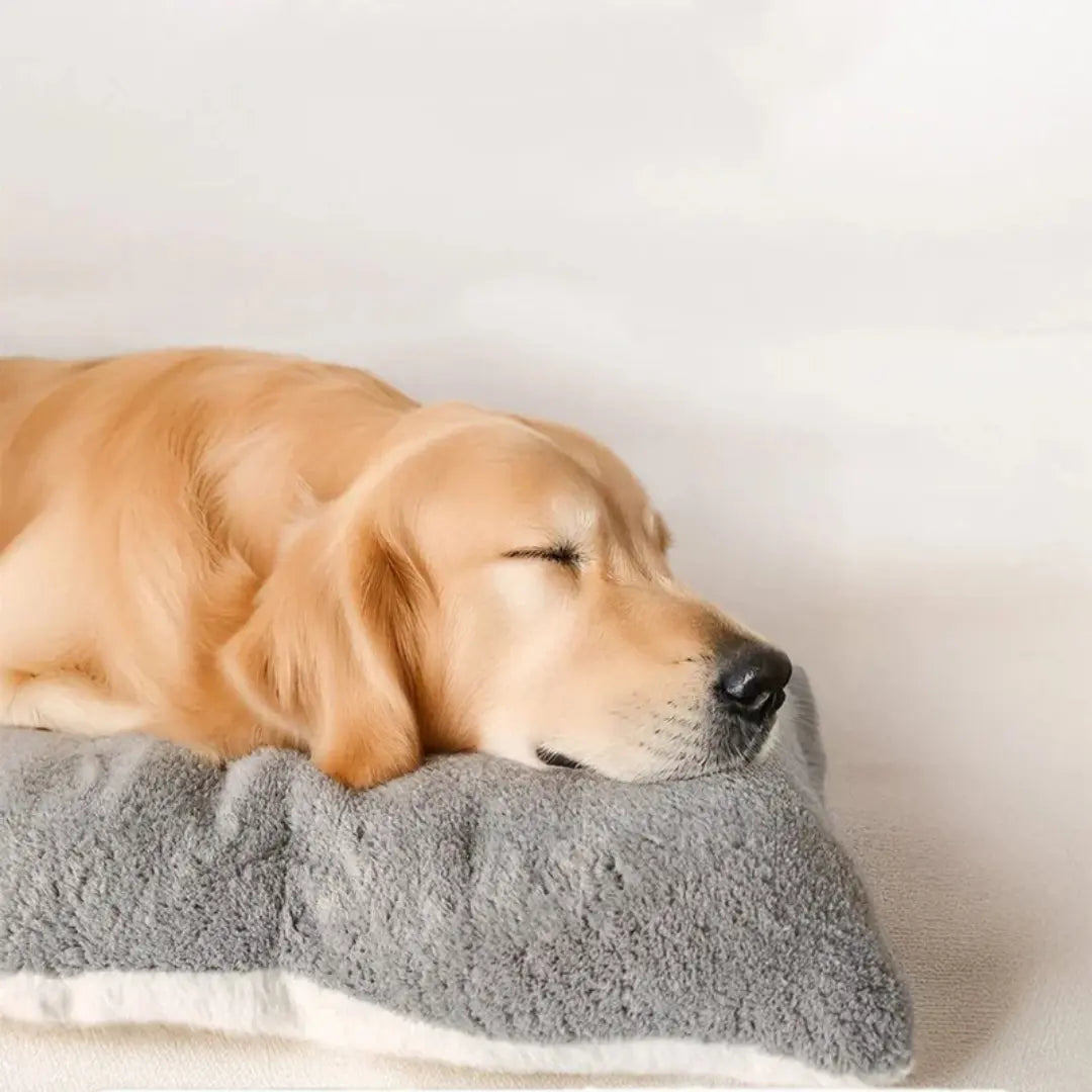 Extra Large Plush Dog Bed Sofa with Thick Padded Sides, 120 × 60 cm