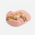 Fluffy Dog Bed Mat for Small to Large Dogs, Washable Plush Cushion