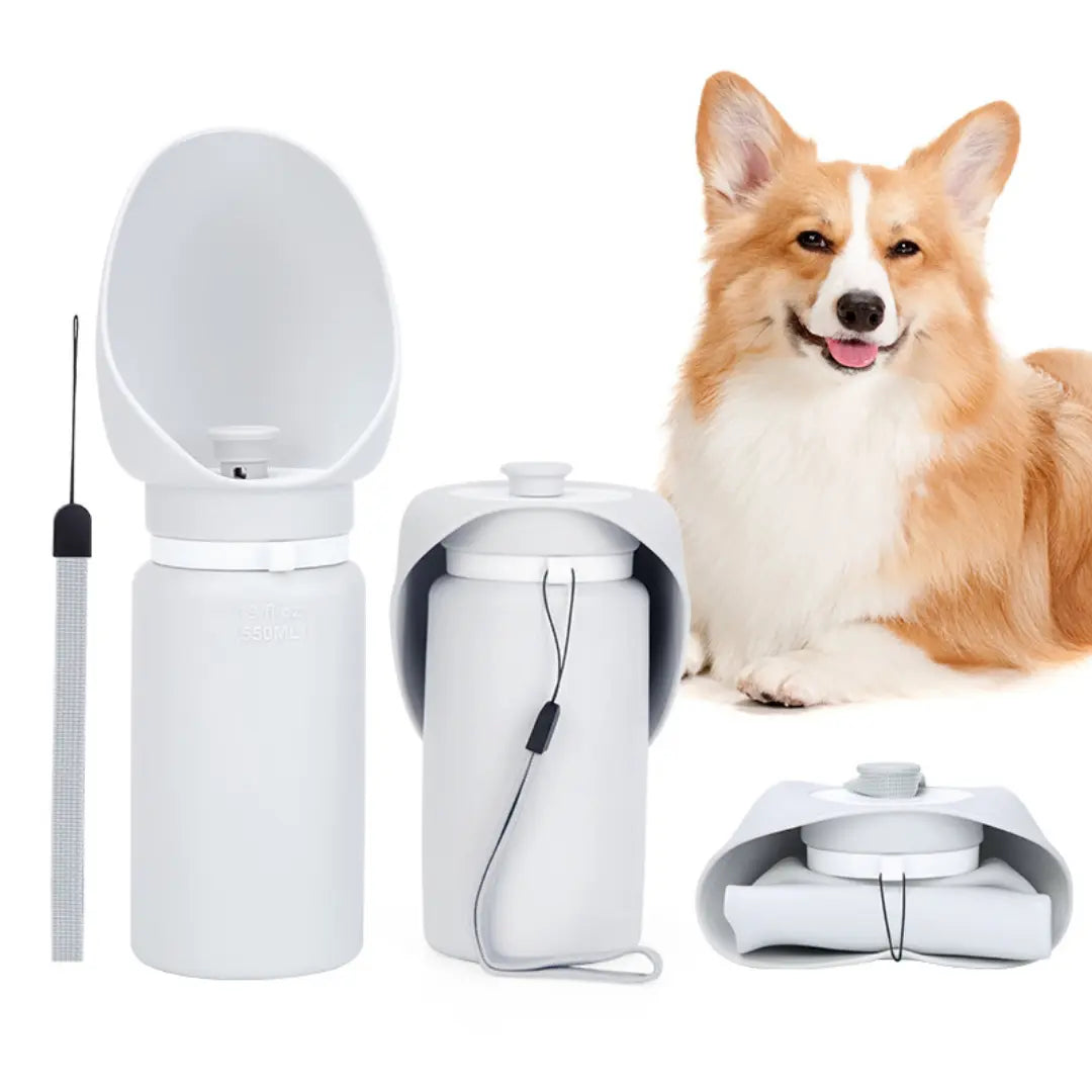Foldable 550ml Portable Dog Water Bottle for Walks & Travel