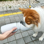 Foldable 550ml Portable Dog Water Bottle for Walks & Travel