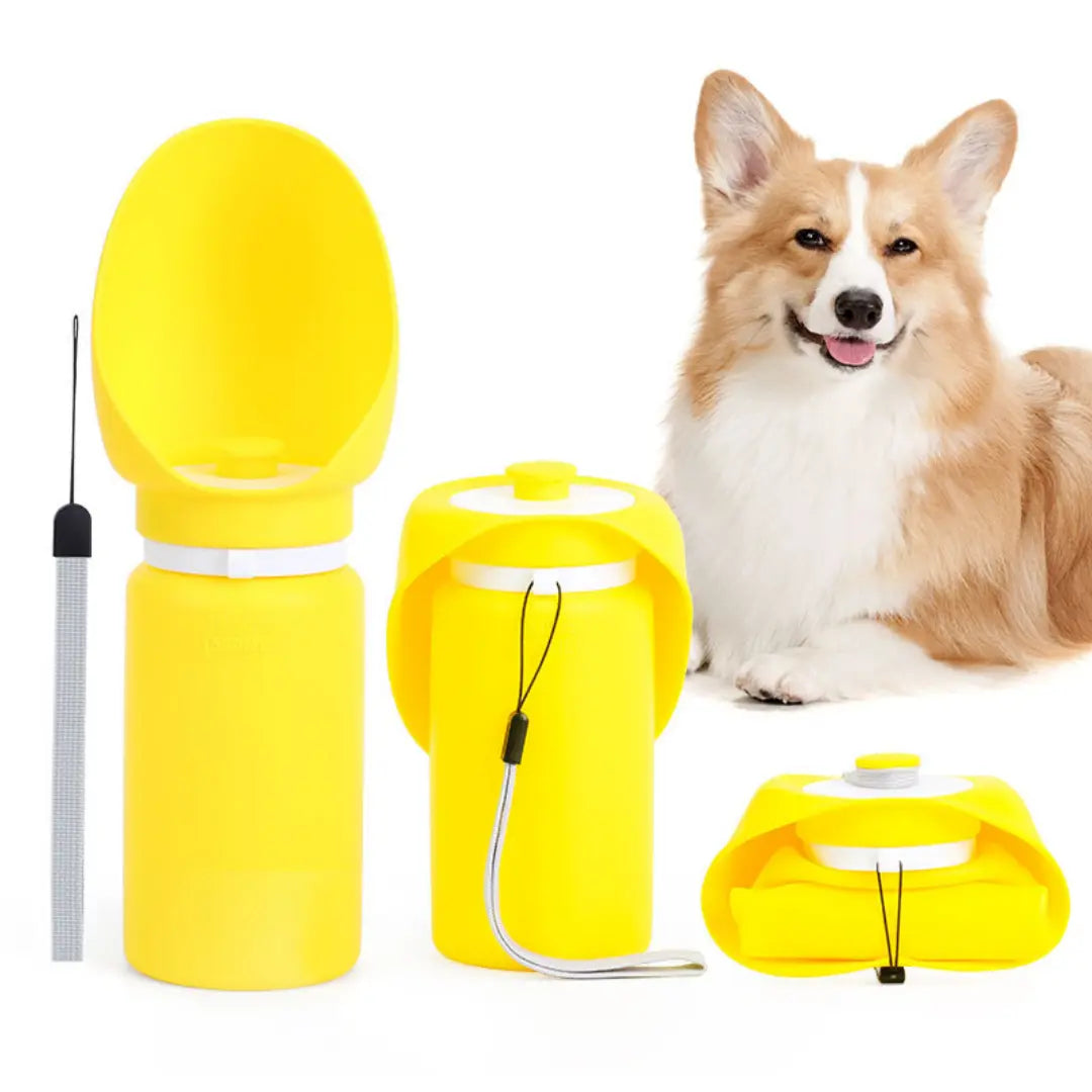 Foldable 550ml Portable Dog Water Bottle for Walks & Travel