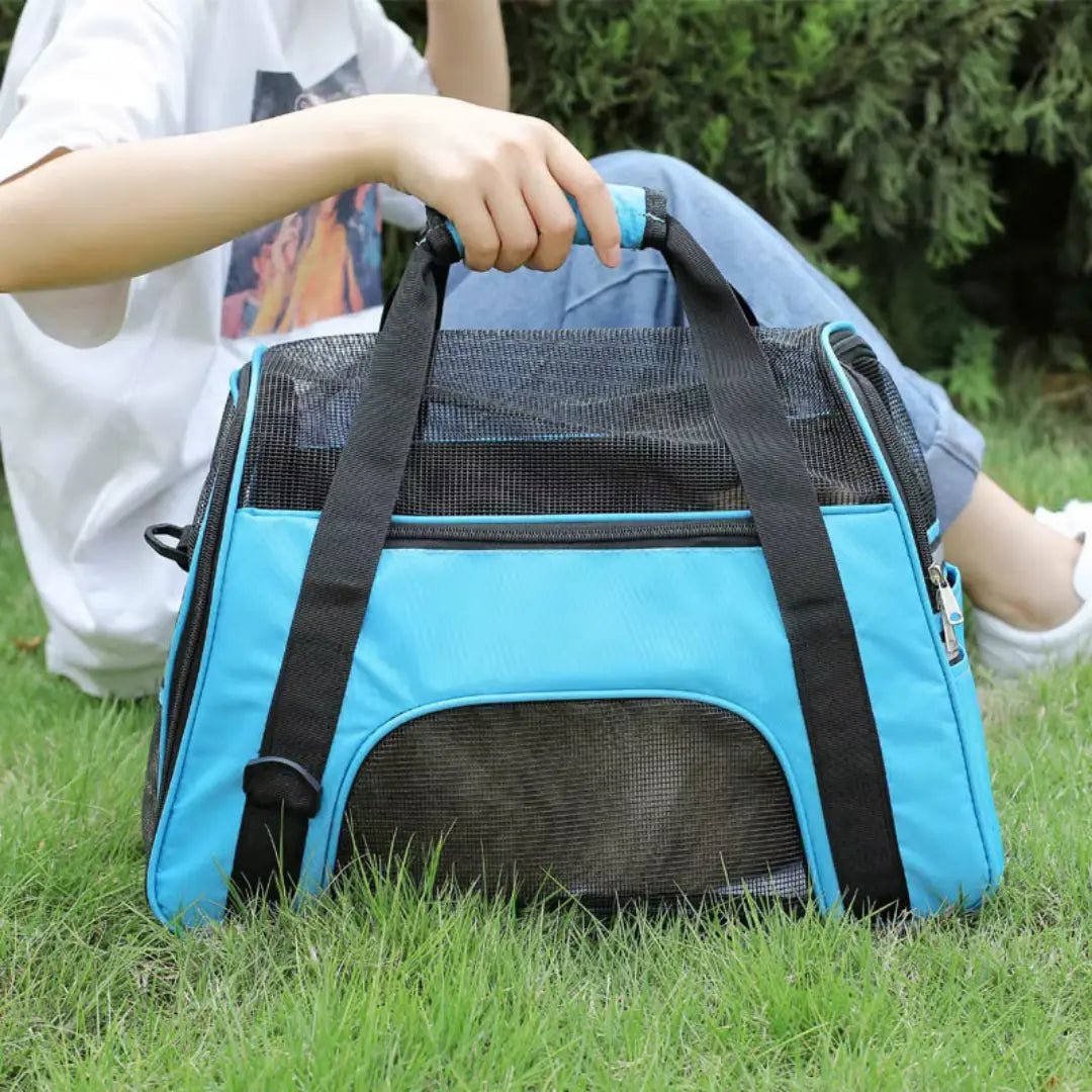 Foldable Pet Carrier Bag for Cats & Small Dogs, Breathable Mesh Travel Carrier