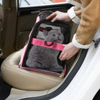 Foldable Pet Carrier Bag for Cats & Small Dogs, Breathable Mesh Travel Carrier