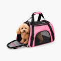 Foldable Pet Carrier Bag for Cats & Small Dogs, Breathable Mesh Travel Carrier