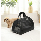 Foldable Pet Carrier Bag for Cats & Small Dogs, Breathable Mesh Travel Carrier