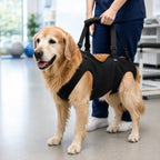 Full Body Support Dog Lift Harness with Padded Carry Handle, Black