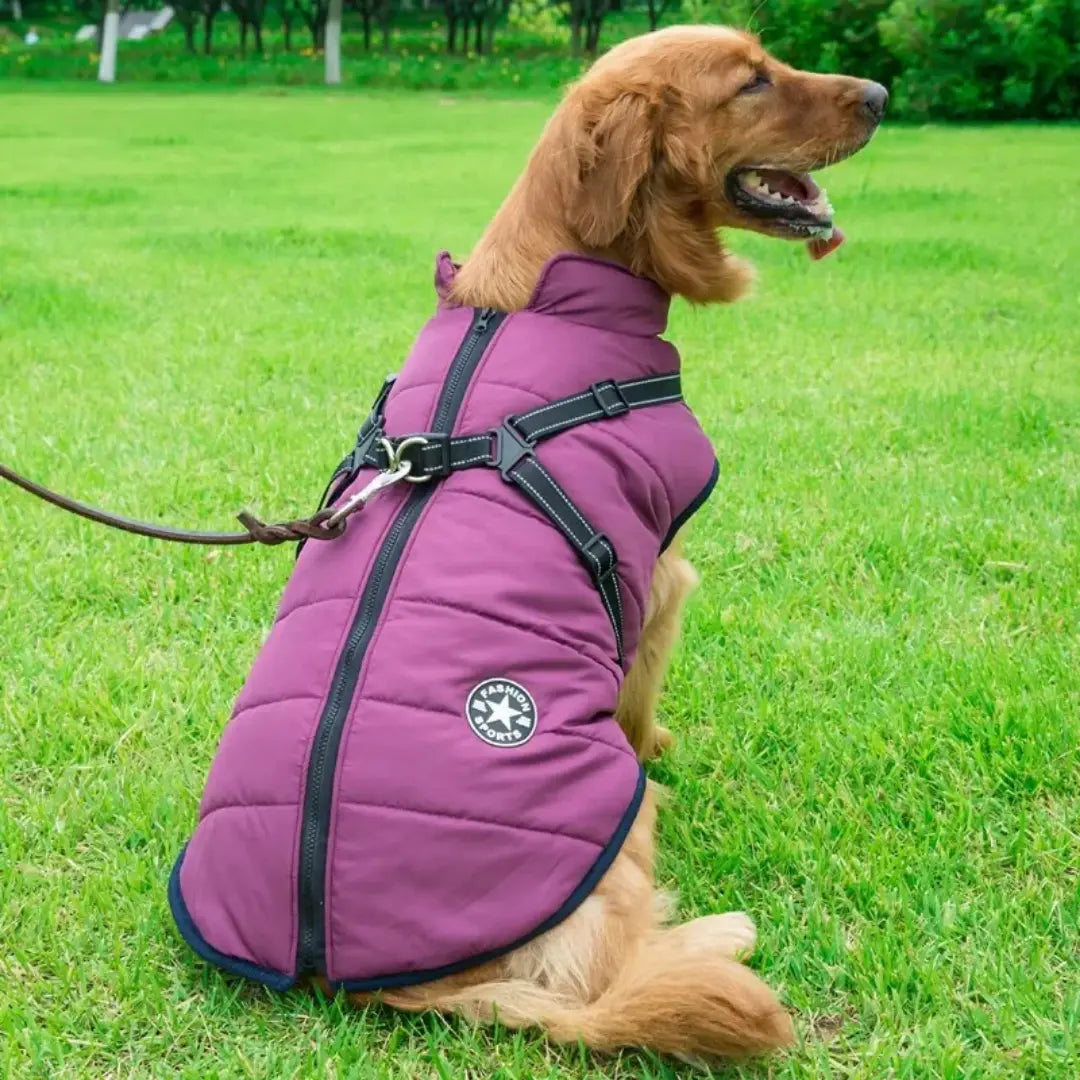 Harness Dog Coats for Winter - Waterproof Warm Jacket for Small & Large Dogs