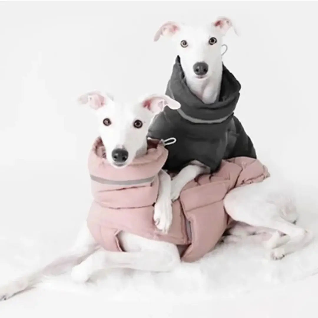 High-Collar Dog Coats for Winter - Reflective Padded Jacket for Medium & Large Dogs