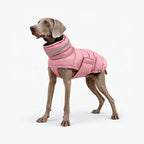 High-Collar Dog Coats for Winter - Reflective Padded Jacket for Medium & Large Dogs