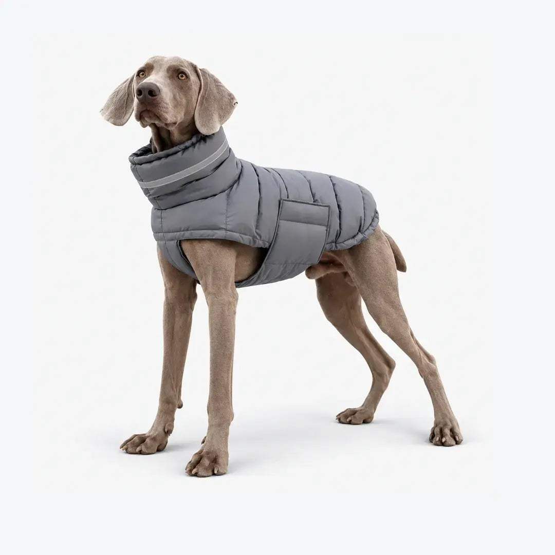 High-Collar Dog Coats for Winter - Reflective Padded Jacket for Medium & Large Dogs